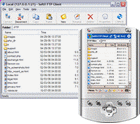 SoftX FTP Client Screenshot