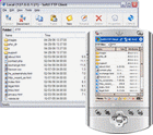 FTP Client for Windows and Pocket PC.